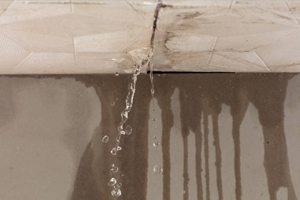 Professional Water Damage Repair technician working in Mount Carmel, TN